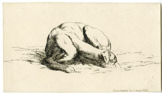 Antique Master Print-CURLED-UP-DOG-STUDY-GREYHOUND-Hills-1809