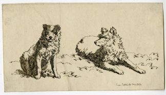 Antique Master Print-TWO-DOG-STUDIES-SEATED-AND-LYING-Hills-1811