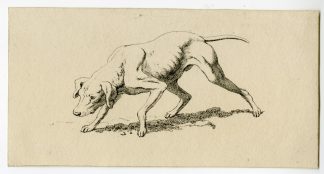 Antique Master Print-HUNTING-DOG-POINTER-STALKING-STUDY-Hills-c.1800-1815