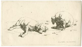Antique Master Print-TWO-DOG-STUDIES-SEATED-AND-LYING-Hills-1811