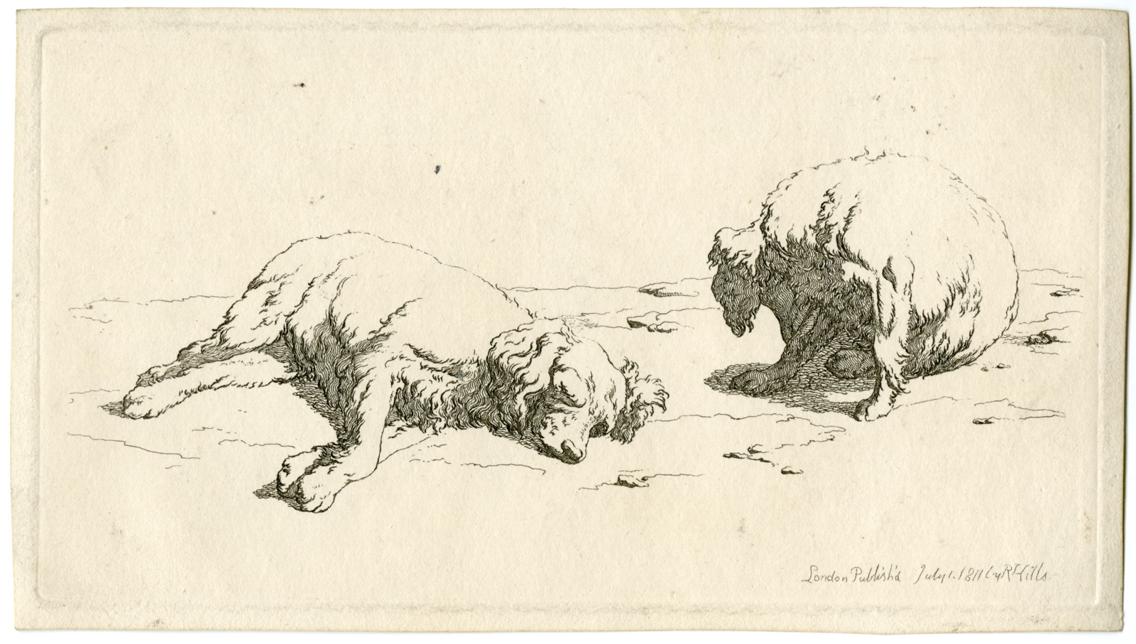 , Antique Master Print-TWO-DOG-STUDIES-SEATED-AND-LYING-Hills-1811, Pictura Antique Prints