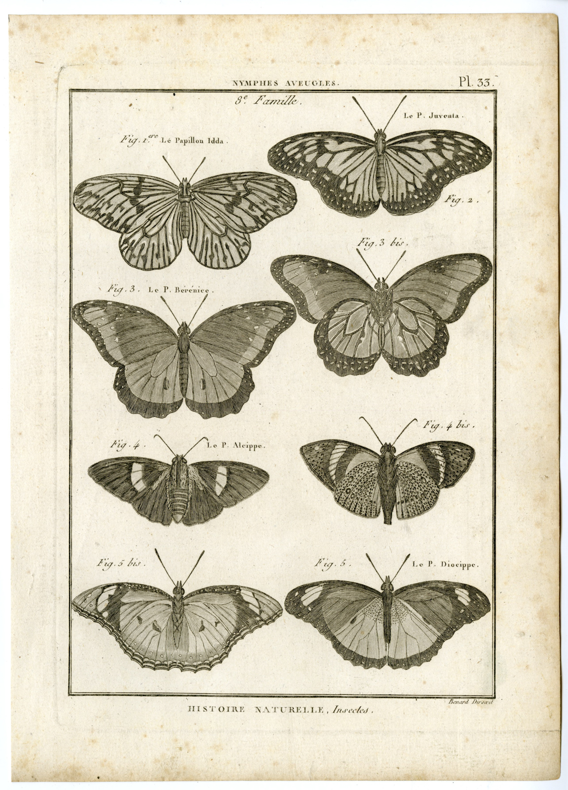 , Catalogue-INSECTS-BUTTERFLY-MOTHS-Panckoucke-1797, Pictura Antique Prints