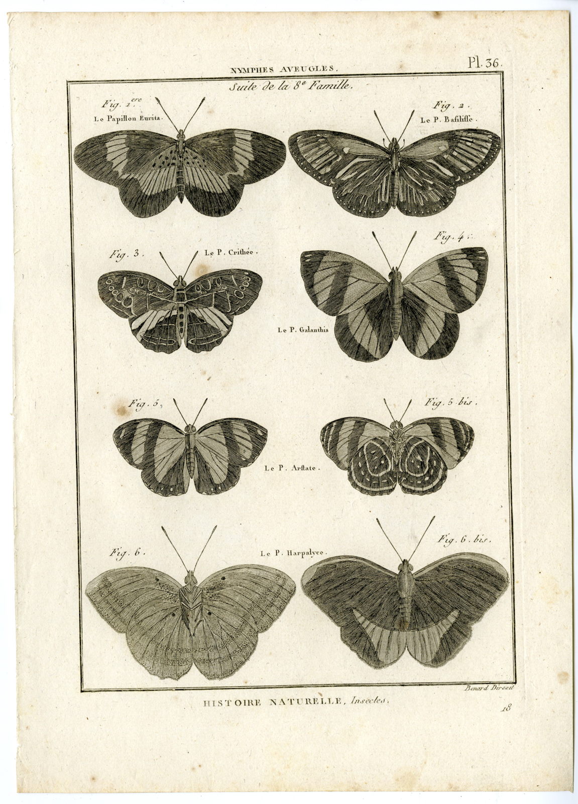 , Catalogue-INSECTS-BUTTERFLY-MOTHS-Panckoucke-1797, Pictura Antique Prints
