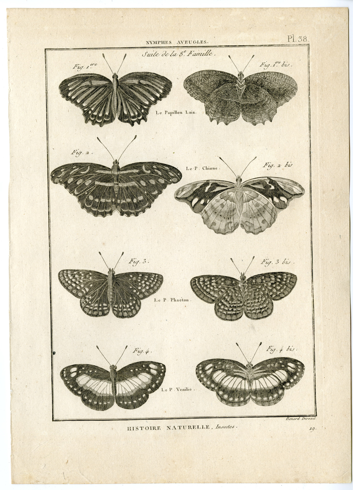 , Catalogue-INSECTS-BUTTERFLY-MOTHS-Panckoucke-1797, Pictura Antique Prints