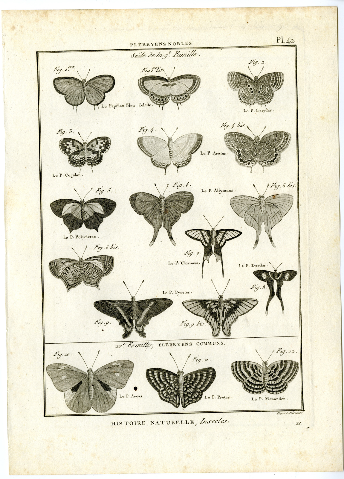 , Catalogue-INSECTS-BUTTERFLY-MOTHS-Panckoucke-1797, Pictura Antique Prints