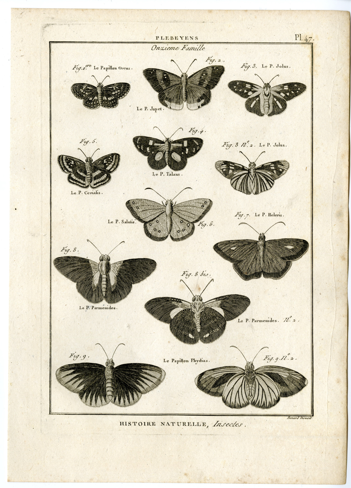 , Catalogue-INSECTS-BUTTERFLY-MOTHS-Panckoucke-1797, Pictura Antique Prints