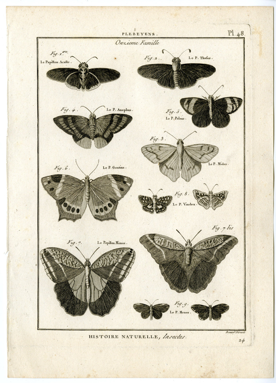, Catalogue-INSECTS-BUTTERFLY-MOTHS-Panckoucke-1797, Pictura Antique Prints