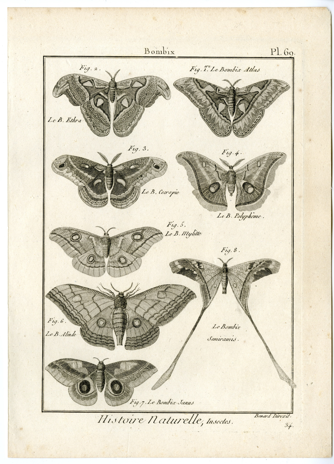 , Catalogue-INSECTS-BUTTERFLY-MOTHS-Panckoucke-1797, Pictura Antique Prints