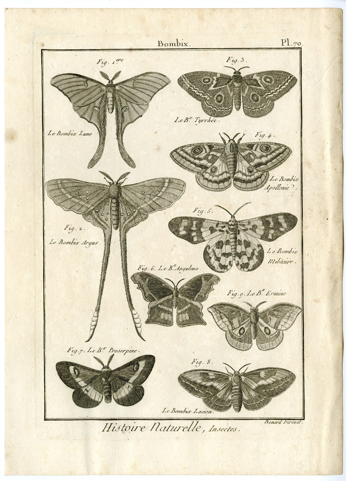 , Catalogue-INSECTS-BUTTERFLY-MOTHS-Panckoucke-1797, Pictura Antique Prints