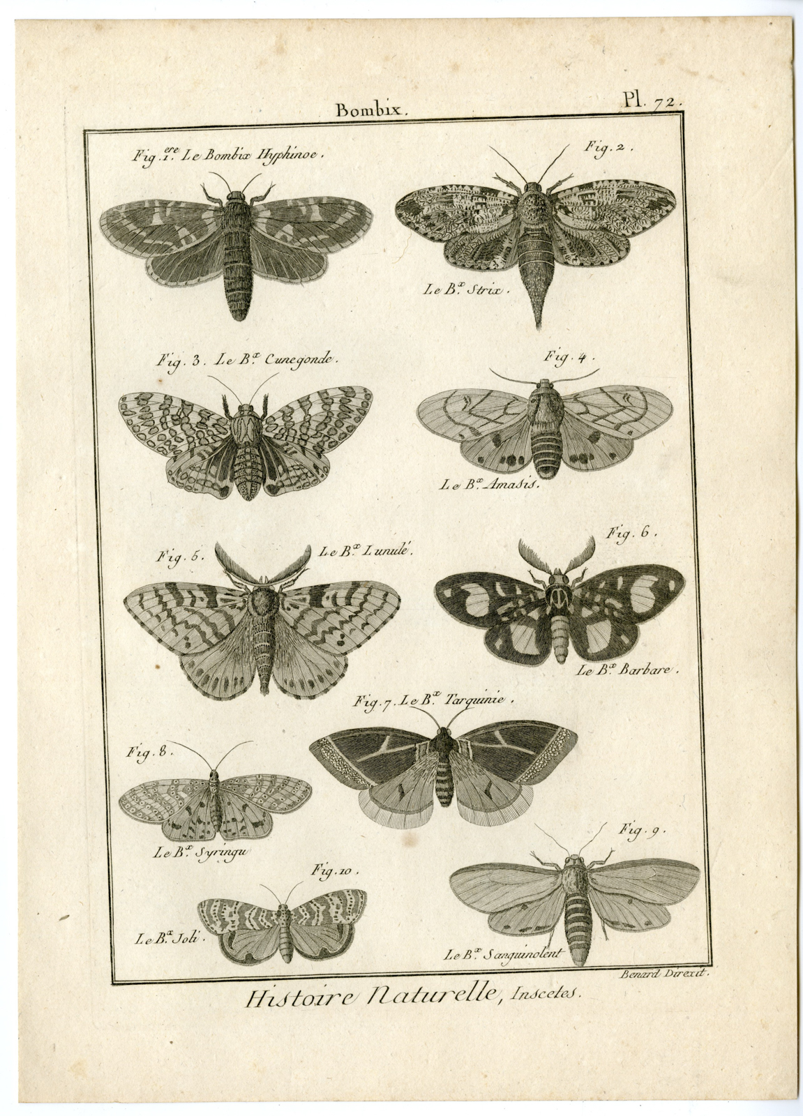 , Catalogue-INSECTS-BUTTERFLY-MOTHS-Panckoucke-1797, Pictura Antique Prints