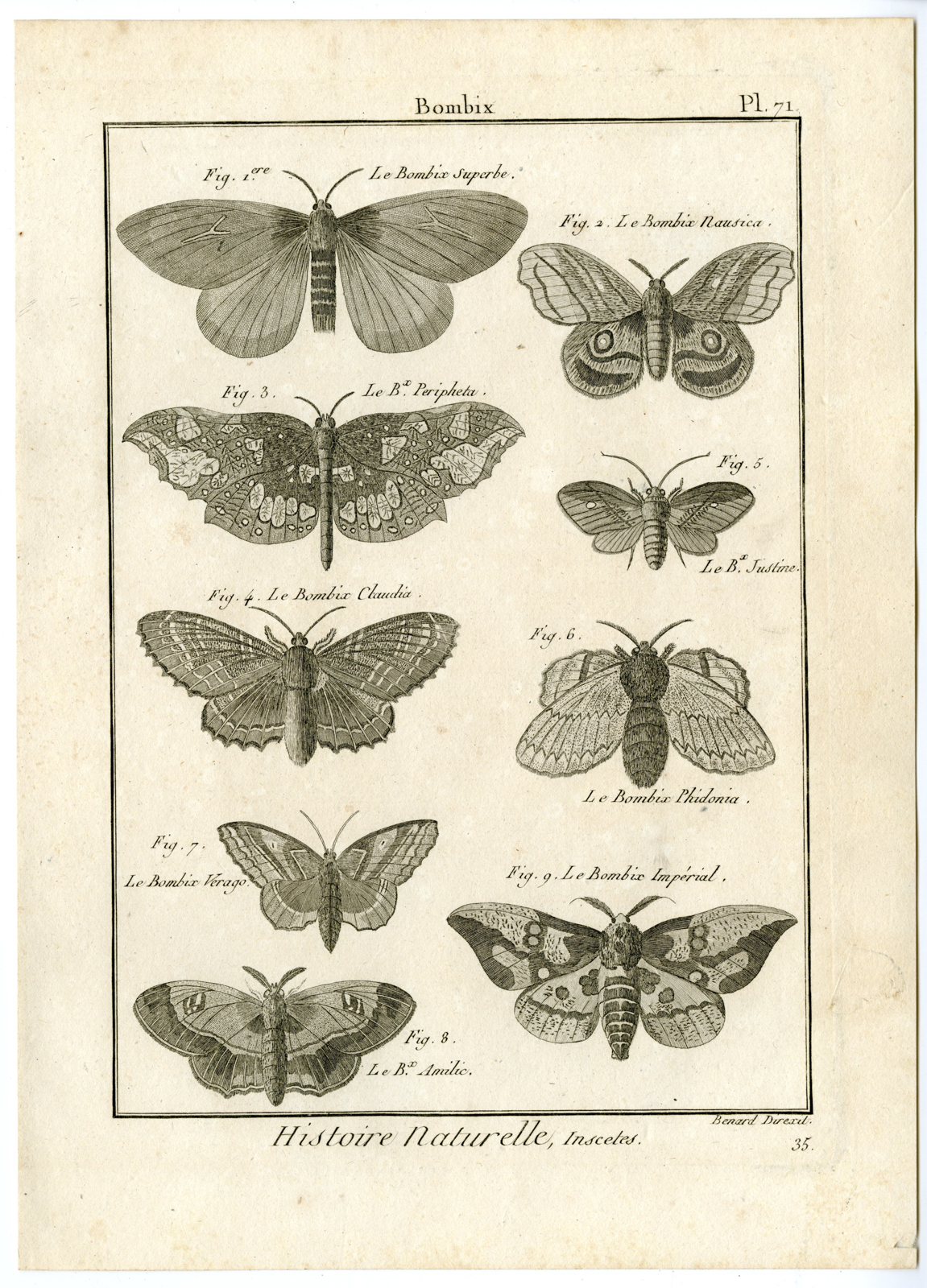 , Catalogue-INSECTS-BUTTERFLY-MOTHS-Panckoucke-1797, Pictura Antique Prints