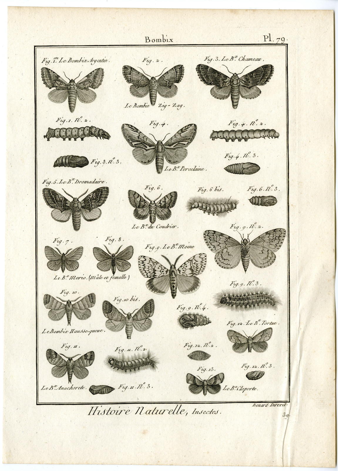 , Catalogue-INSECTS-BUTTERFLY-MOTHS-Panckoucke-1797, Pictura Antique Prints