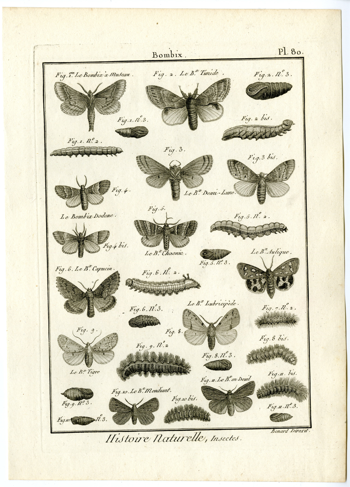 , Catalogue-INSECTS-BUTTERFLY-MOTHS-Panckoucke-1797, Pictura Antique Prints