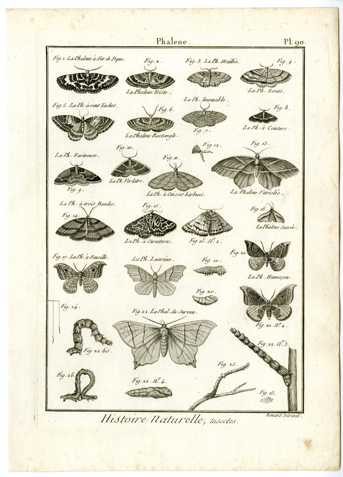 , Catalogue-INSECTS-BUTTERFLY-MOTHS-Panckoucke-1797, Pictura Antique Prints