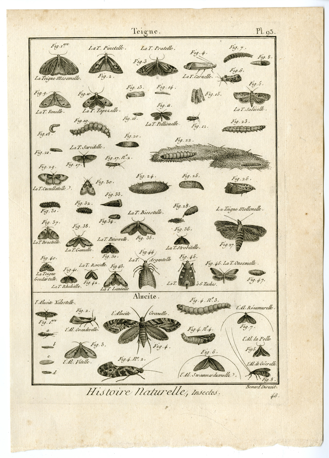 , Catalogue-INSECTS-BUTTERFLY-MOTHS-Panckoucke-1797, Pictura Antique Prints
