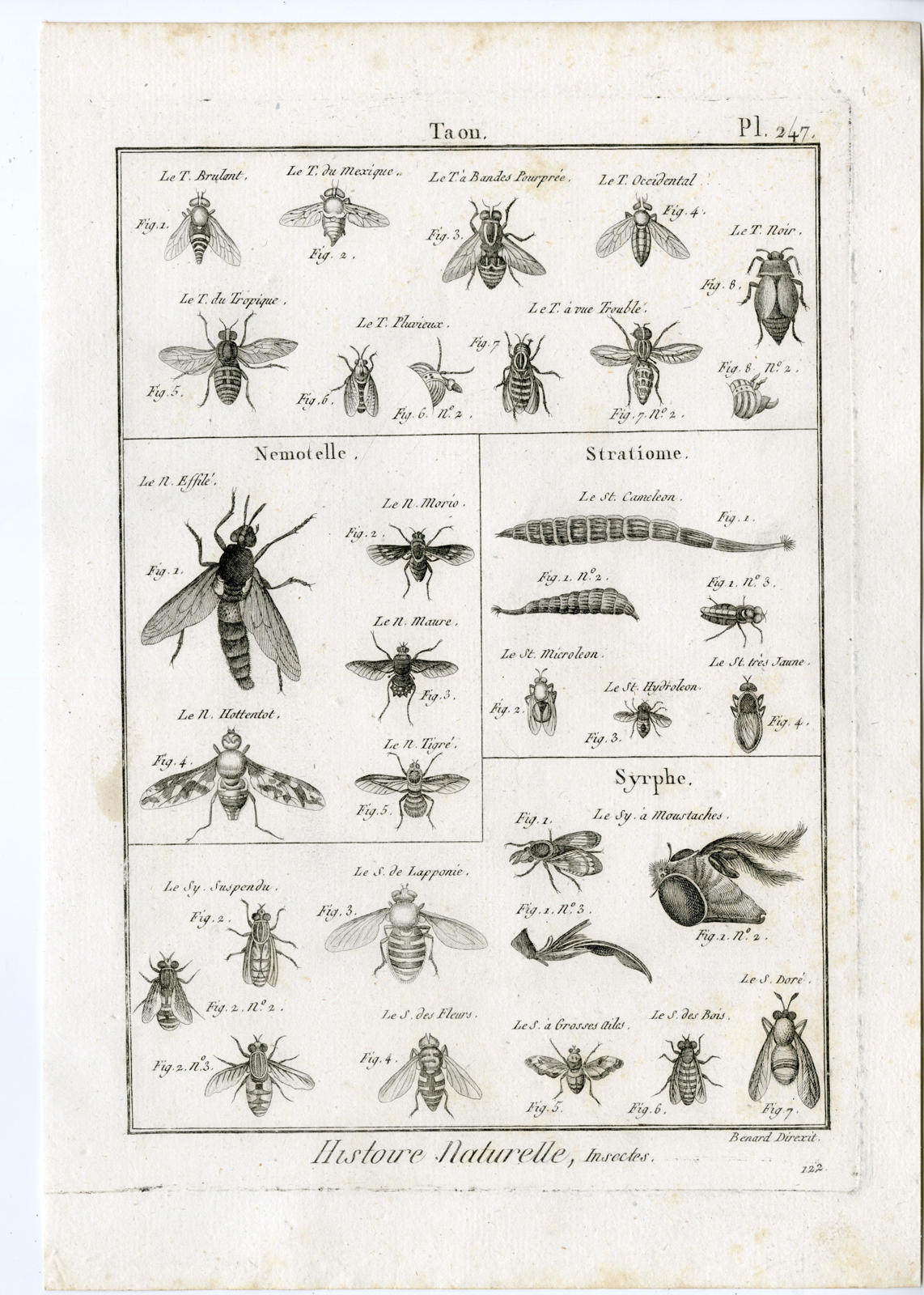, Catalogue-Ad’l INSECTS-beetles-Panckoucke-1797, Pictura Antique Prints
