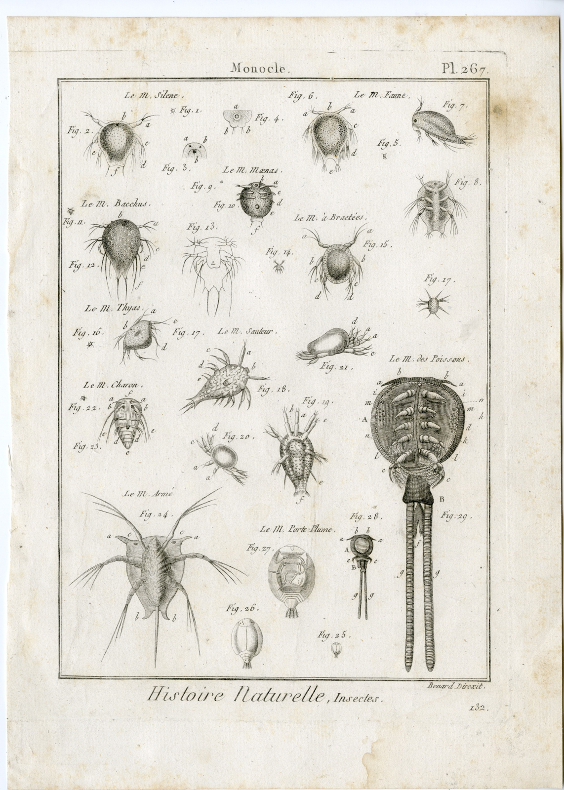 , Catalogue-Ad’l INSECTS-beetles-Panckoucke-1797, Pictura Antique Prints