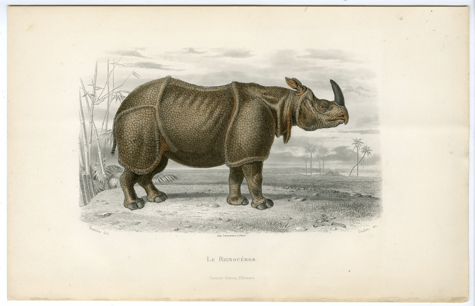 Pco 14746 416x268 Antique Print-INDIAN RHINOCEROS-UNICORNIS-Oudet-Buffon-Travies-1853
