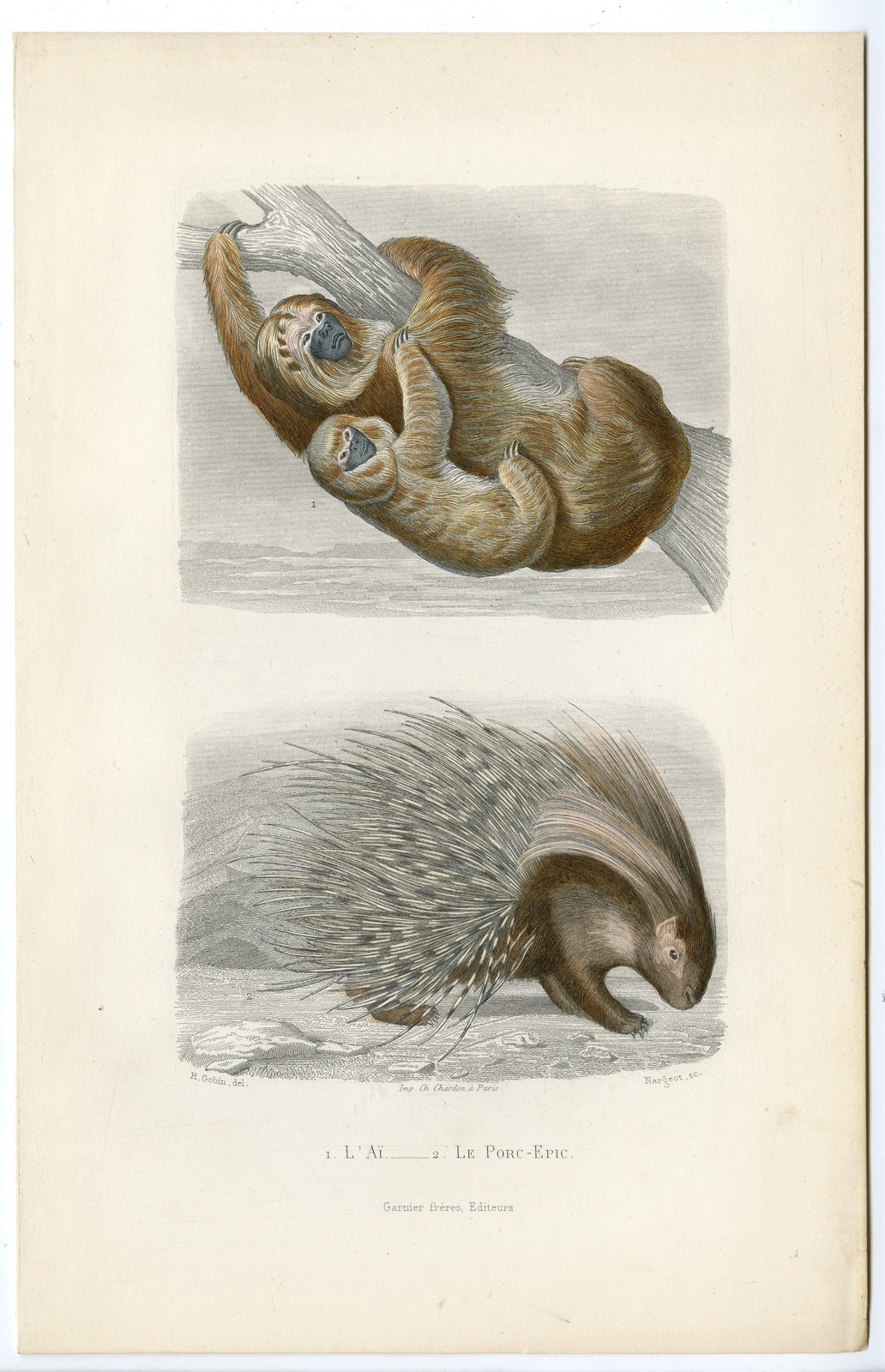 , Antique Print-PORCUPINE-PALE THROATED SLOTH-AI-Nargeot-Buffon-Gobin-1853, Pictura Antique Prints