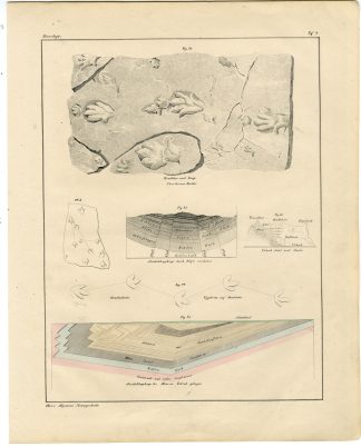 Antique Print-MINERALOGY-MINERAL DEPOSITS-FOSSILS-GEOLOGY-Oken-1833