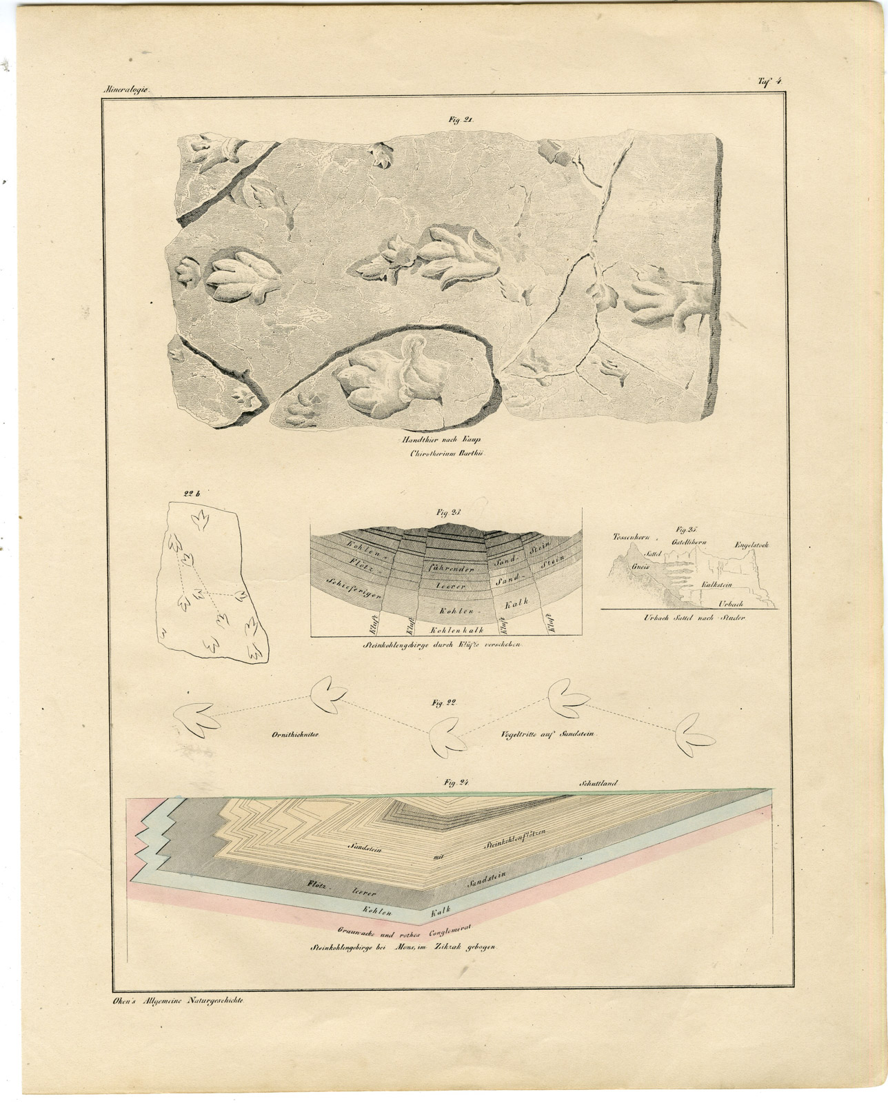 , Antique Print-MINERALOGY-MINERAL DEPOSITS-FOSSILS-GEOLOGY-Oken-1833, Pictura Antique Prints