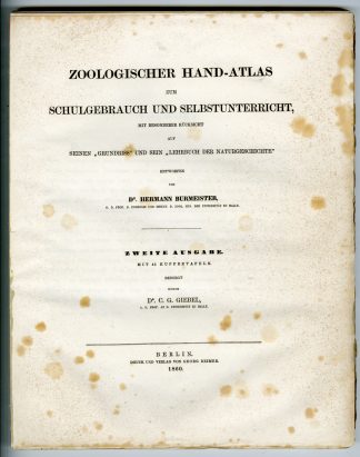 Burmeister - nature - 1860 - catalogue
