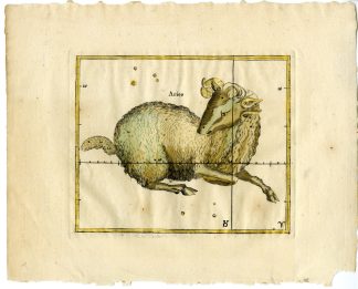 Antique Print-ASTRONOMY-ASTROLOGY-CONSTELLATION-ZODIAC-ARIES-Seller-1677