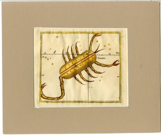 Antique Print-ASTRONOMY-ASTROLOGY-CONSTELLATION-ZODIAC-SCORPIO-Seller-1677
