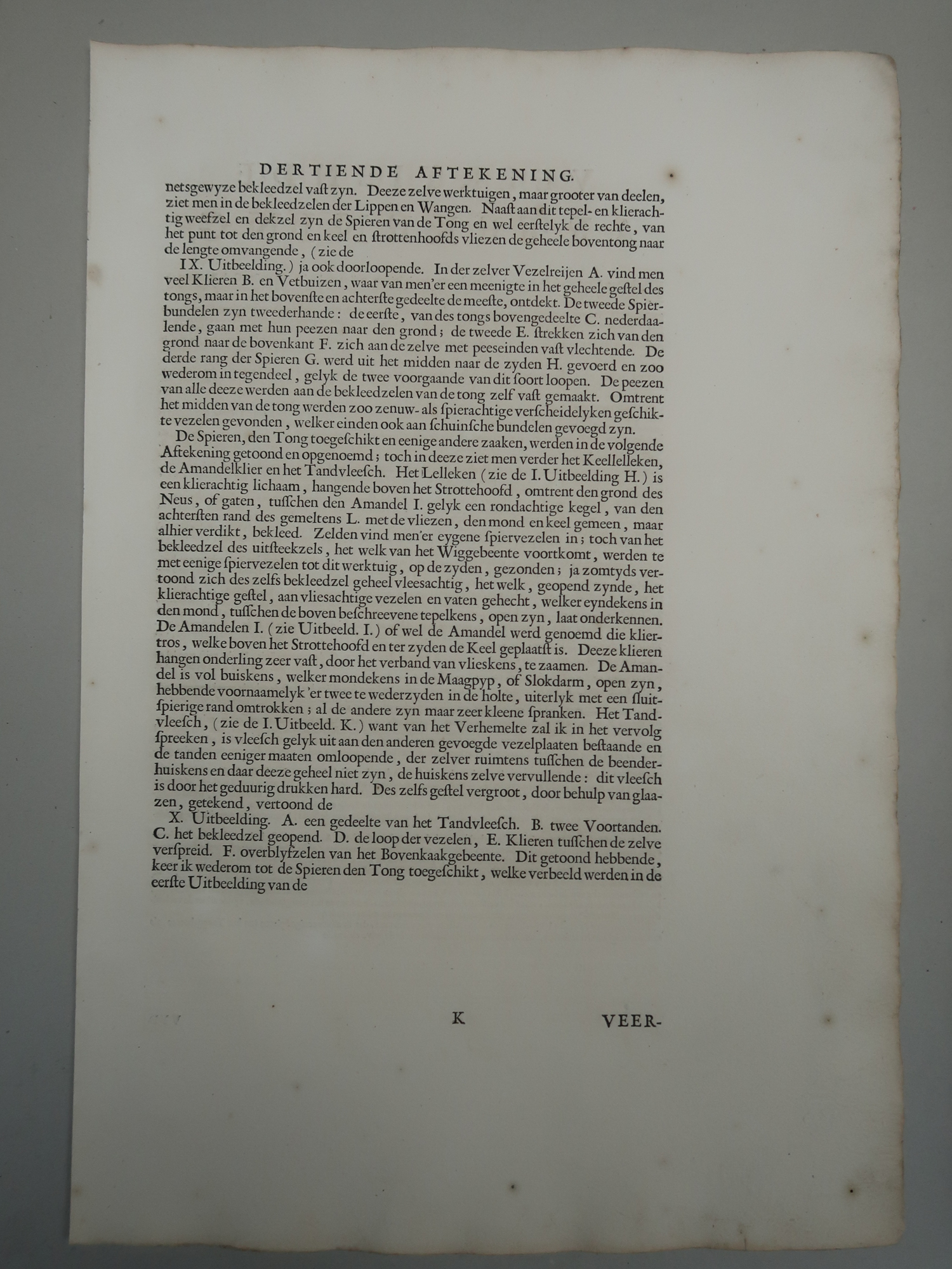 , Antique Print-T.13.-TONGUE-TASTE-PAPILLAE-ORAL-ANATOMY-de Lairesse-Bidloo-1728, Pictura Antique Prints
