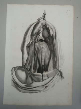 Antique Print-T.18.-SPINAL-CORD-CERVICAL-MUSCLES-ANATOMY-de Lairesse-Bidloo-1728