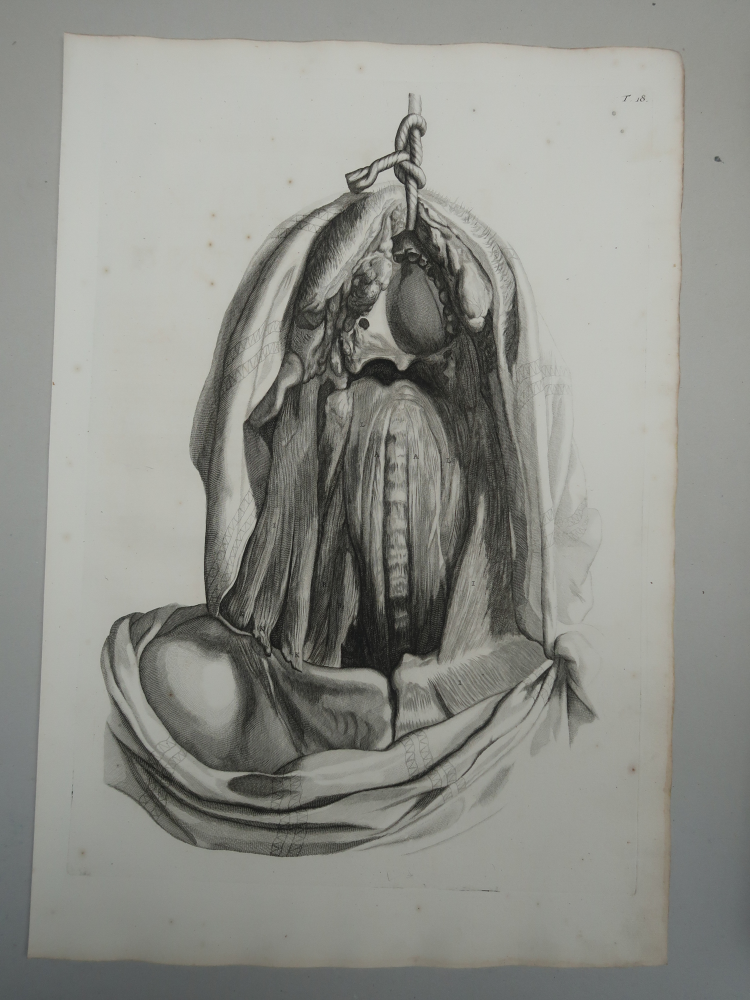 , Antique Print-T.18.-SPINAL-CORD-CERVICAL-MUSCLES-ANATOMY-de Lairesse-Bidloo-1728, Pictura Antique Prints