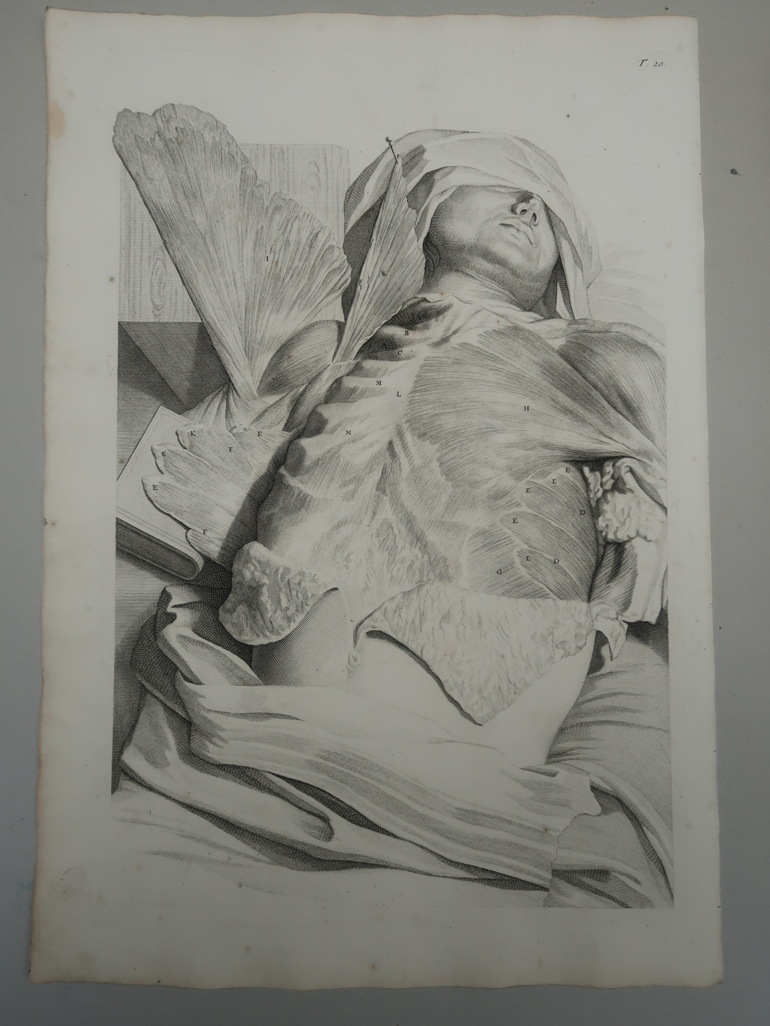 , Antique Print-T.20.-CHEST-MUSCLES-RIBS-THORAX-ANATOMY-de Lairesse-Bidloo-1728, Pictura Antique Prints