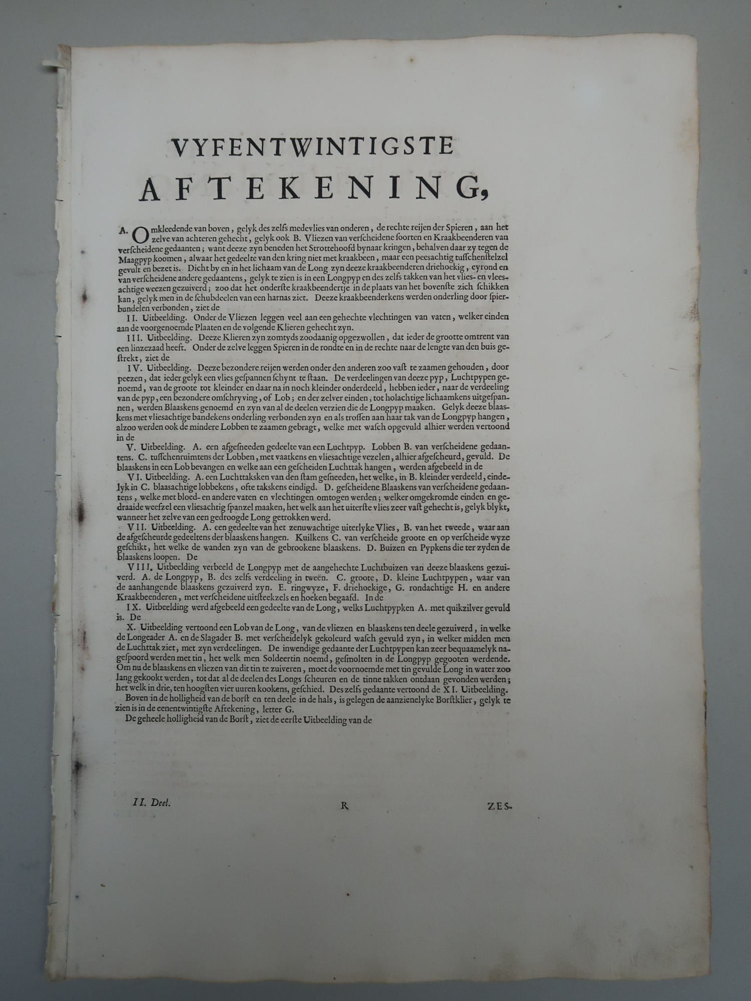 , Antique Print-T.25.-BRONCHIAL-TREE-ALVEOLI-PULMONARY-LUNG-Lairesse-Bidloo-1728, Pictura Antique Prints