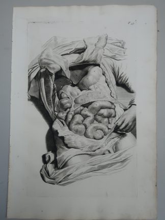 Antique Print-T.33.-OMENTUM-STOMACH-INTESTINES-LIVER-de Lairesse-Bidloo-1728