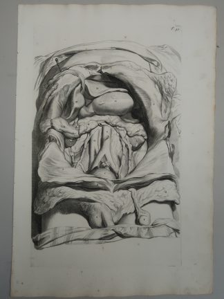 Antique Print-T.41.-MALE-ABDOMINAL-CAVITY-VISCERAL-ANATOMY
-de Lairesse-Bidloo-1728