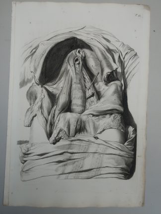 Antique Print-T.52.-DIAPHRAGM-POSTERIOR-ABDOMINAL-WALL-FLY-Lairesse-Bidloo-1728