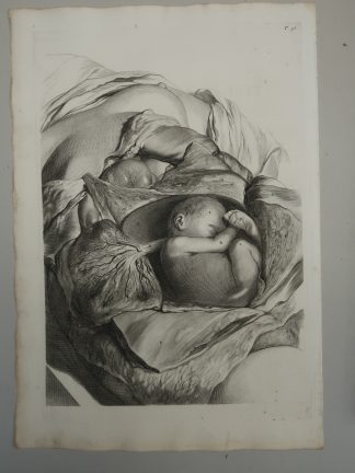 Antique Print-T.56.-ANATOMY-FETUS-IN-UTERO-PLACENTA-UMBILICAL-CORD-de Lairesse-Bidloo-1728