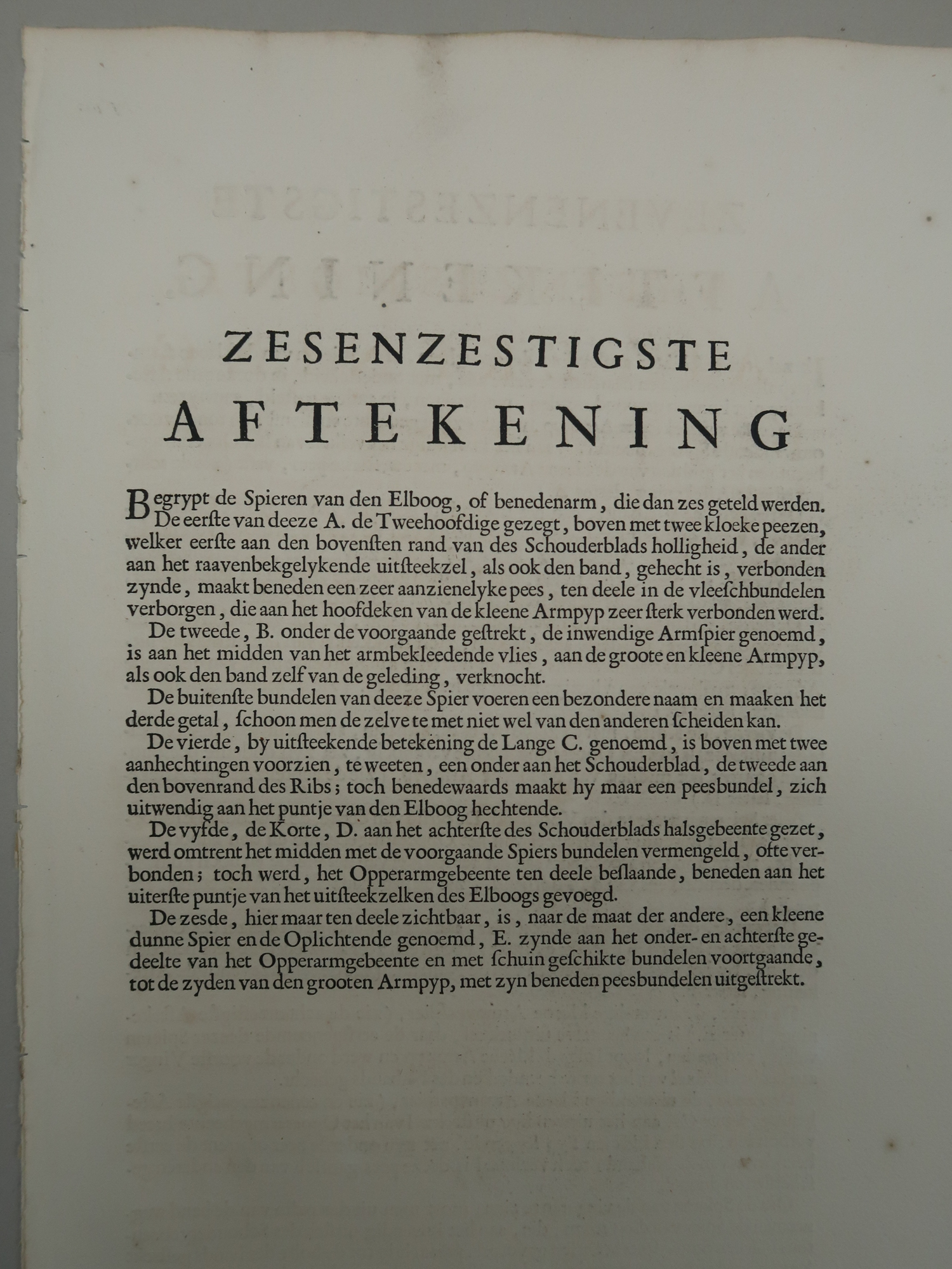 IMG 7135 416x555 Antique Print-T.66.-ARM-MUSCLES-BICEPS-TRICEPS-ELBOW-de Lairesse-Bidloo-1728 - Image 2
