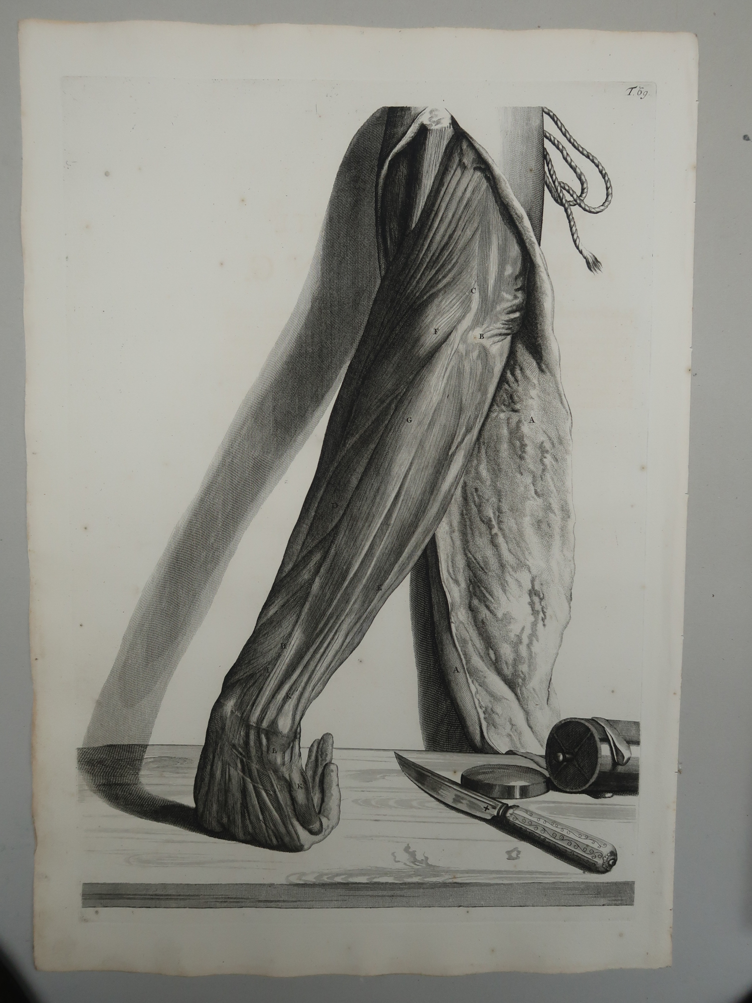 , Antique Print-T.69.-ARM-FOREARM-EXTENSORS-ANATOMY-de Lairesse-Bidloo-1728, Pictura Antique Prints