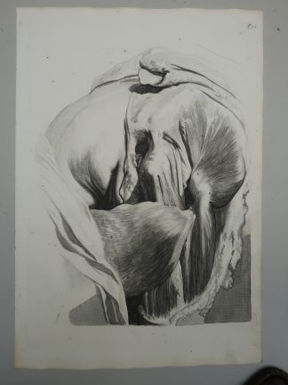 Antique Print-T.72.-HIP-THIGH-MUSCULATURE-POSTERIOR-VIEW-de Lairesse-Bidloo-1728