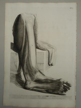 Antique Print-T.83.-ANATOMY-LEG-FOOT-TOES-HALLUX-de Lairesse-Bidloo-1728