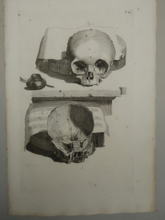 Antique Print-T.89.-ANATOMY-HUMAN-SKULL-FRONTAL-de Lairesse-Bidloo-1728