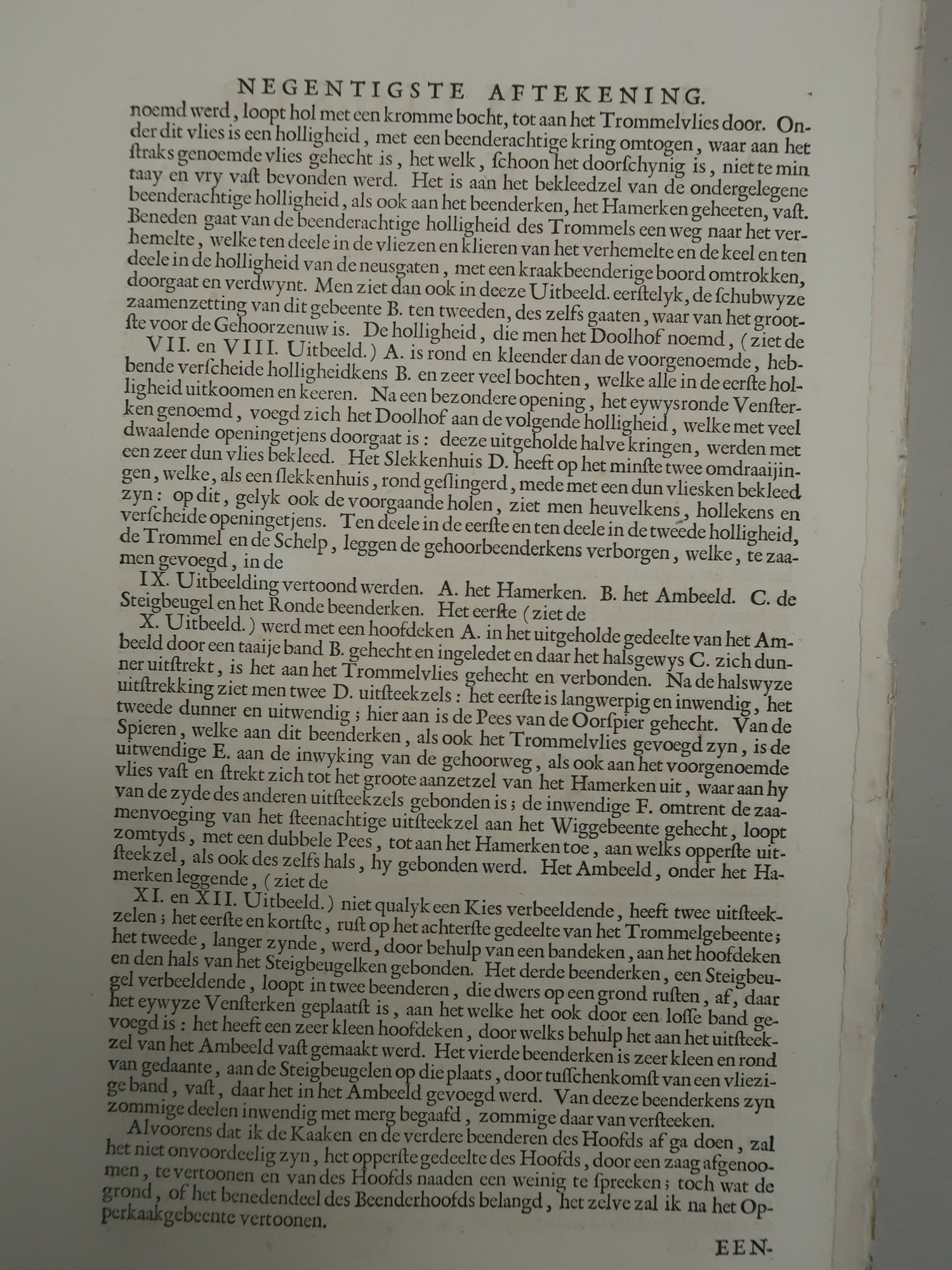 , Antique Print-T.90.-ANATOMY-HUMAN-SKULL-de Lairesse-Bidloo-1728, Pictura Antique Prints
