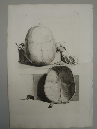 Antique Print-T.91.-ANATOMY-HUMAN-SKULL-de Lairesse-Bidloo-1728
