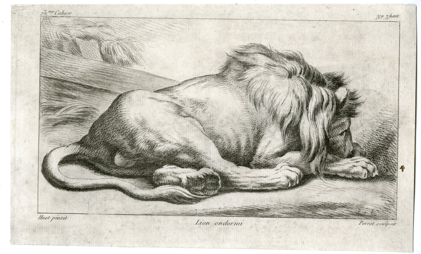 , Antique Master Print-ANIMAL-LION-SLEEPING-LYING-PREDATOR-Perrot-Huet-1830, Pictura Antique Prints