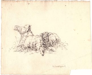 Antique Drawing-ANIMAL-SHEEP-WOOL-STANDING-LYING-Baesten Ommeganck-1820