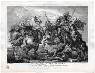 Antique Master Print-HUNTING-LIONS-TIGER-HORSES-HUNTERS-Jean Moyreau-Rubens-1740