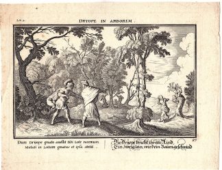 Antique Print-DRYOPE-CHANGE IN TREE-CHILD-PEOPLE WATCHING-MYTHOLOGY-Baur-1681