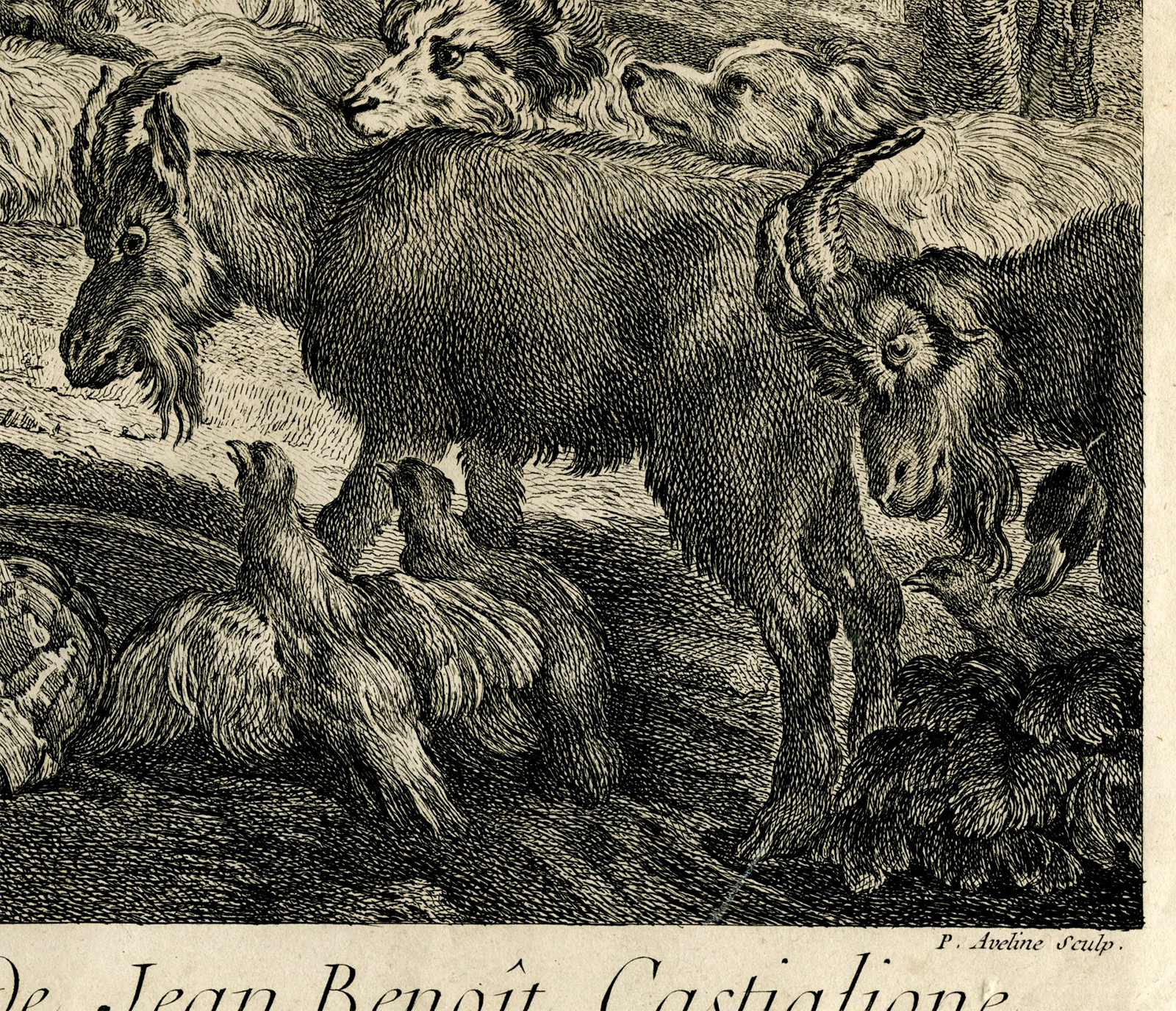 , Antique Master Print-NOAHS-ARK-Aveline-Castiglione-1757, Pictura Antique Prints