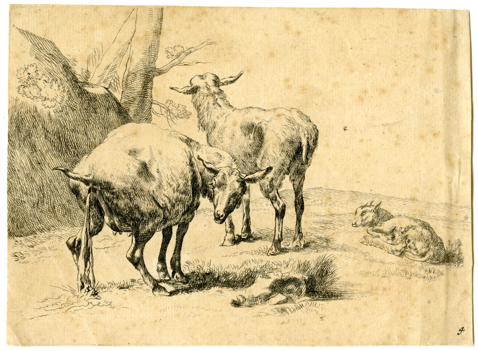 , Antique Master Print-PISSING-EWE-SHEEP-Berchem-c.1700-1725, Pictura Antique Prints